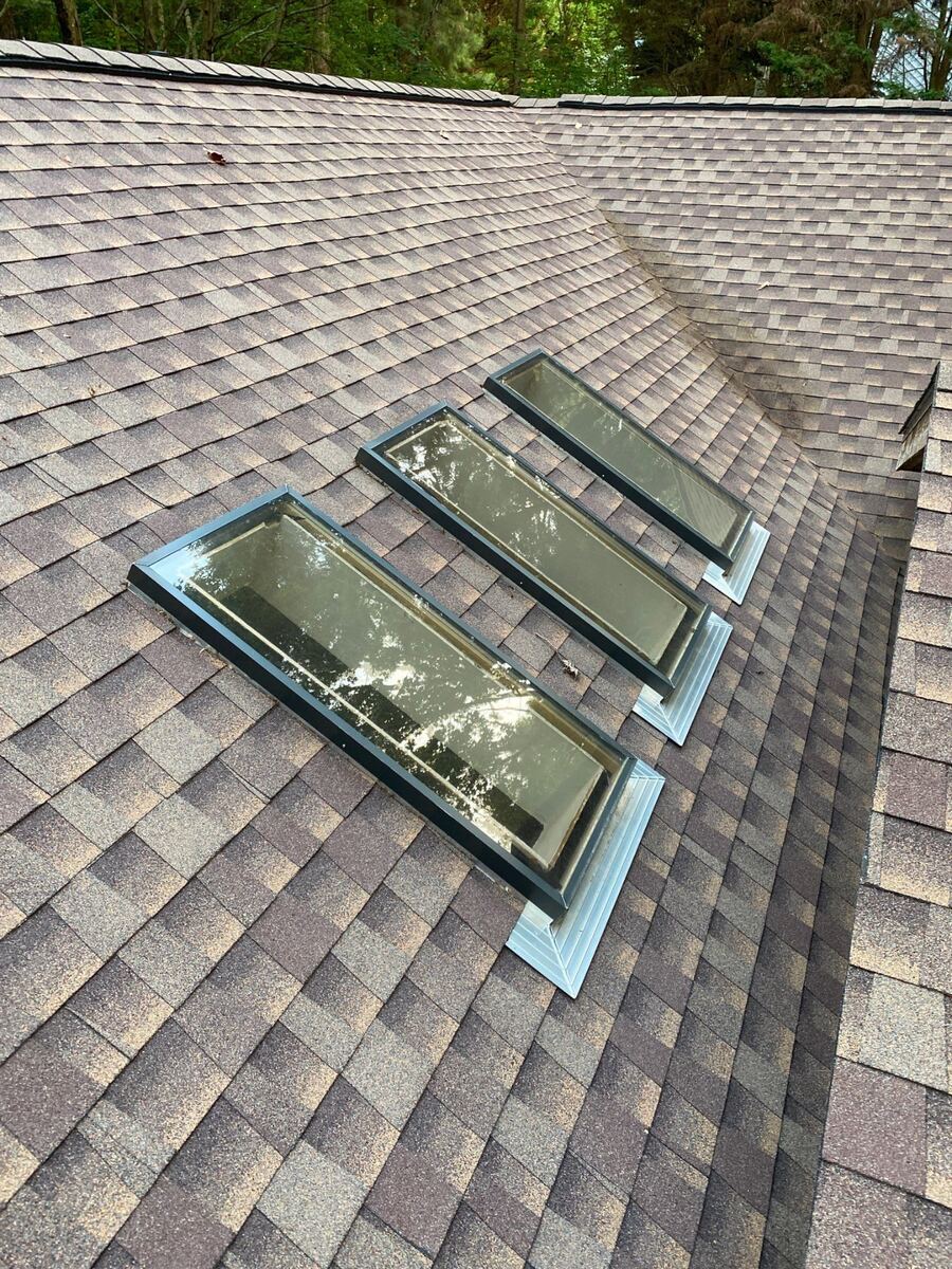 Clear skylights reflecting the trees after cleaning