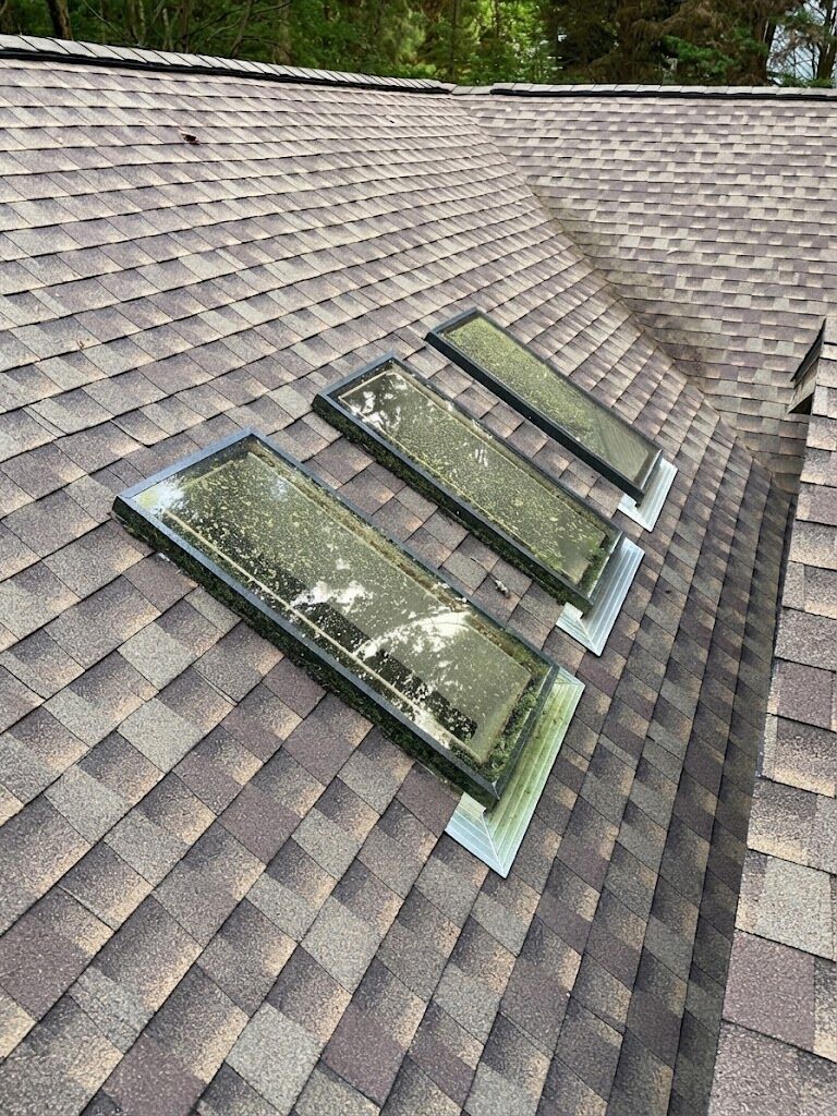 Skylights covered in moss and algae before cleaning