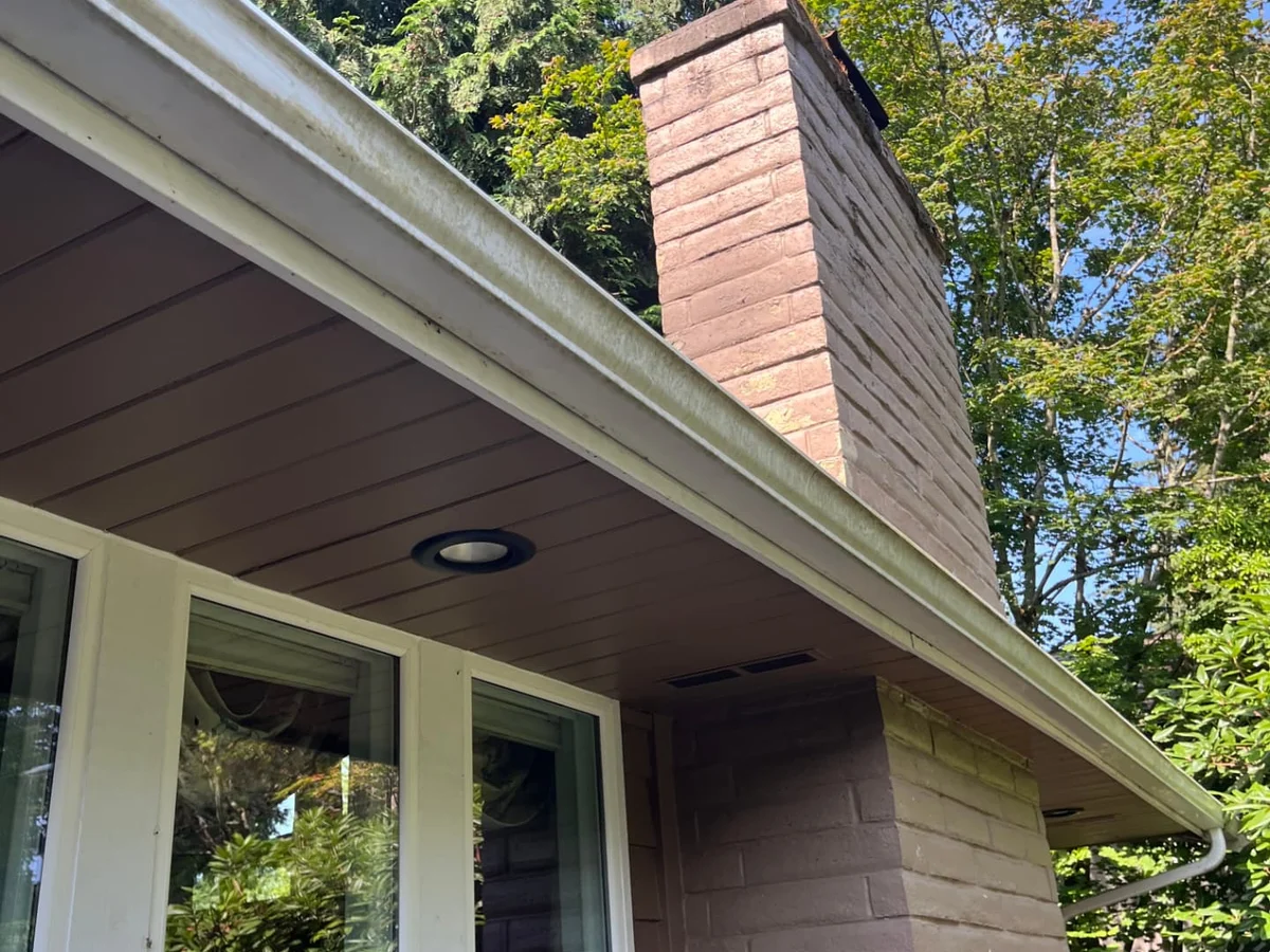 Gutter face streaked with green oxidation before exterior cleaning