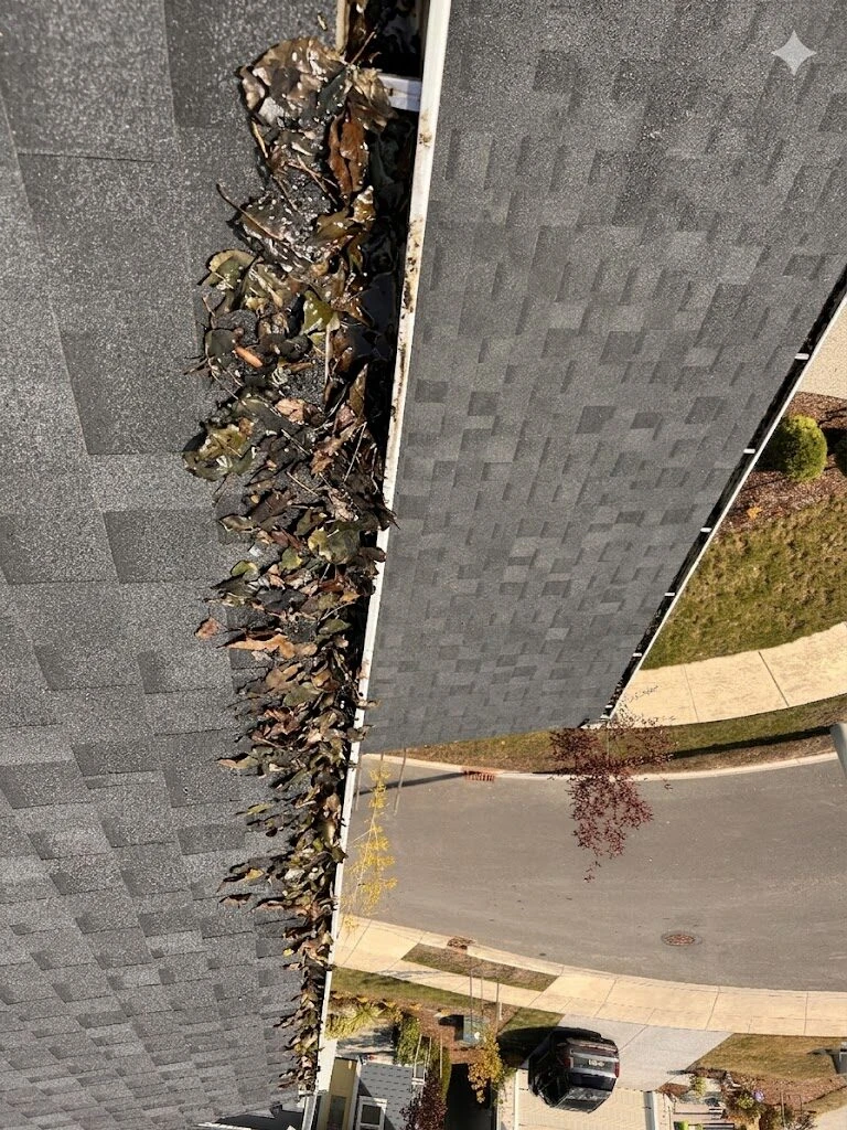 Residential gutter packed with wet leaves and debris before cleaning