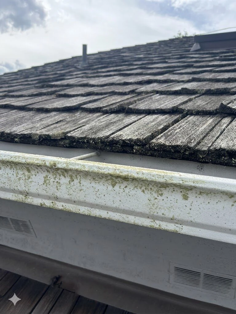 Exterior gutter face covered in moss, algae, and oxidation tiger-stripes