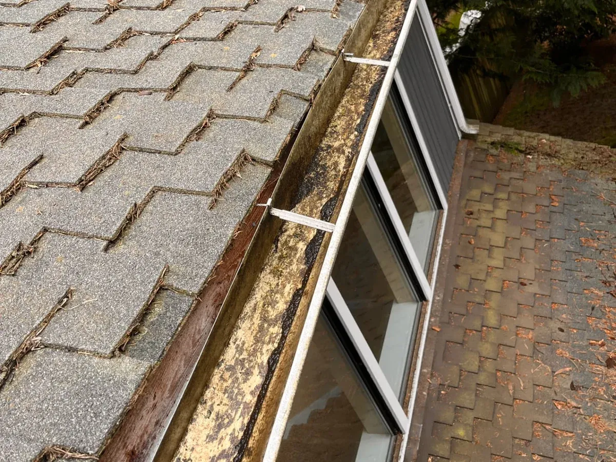 Damaged gutter section with rotted fascia board before repair