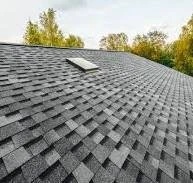 Same roof restored to clean dark shingles after professional moss treatment
