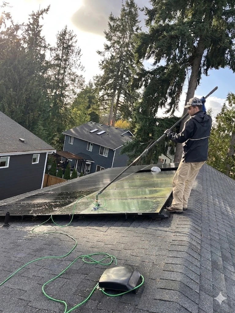 Solar panels coated in green algae and pollen before cleaning