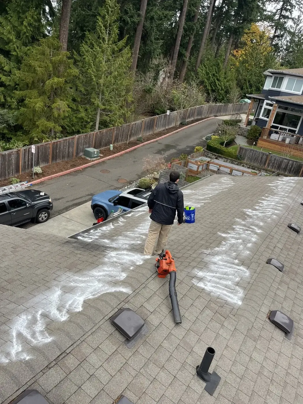 Pure water fed pole window cleaning system in action