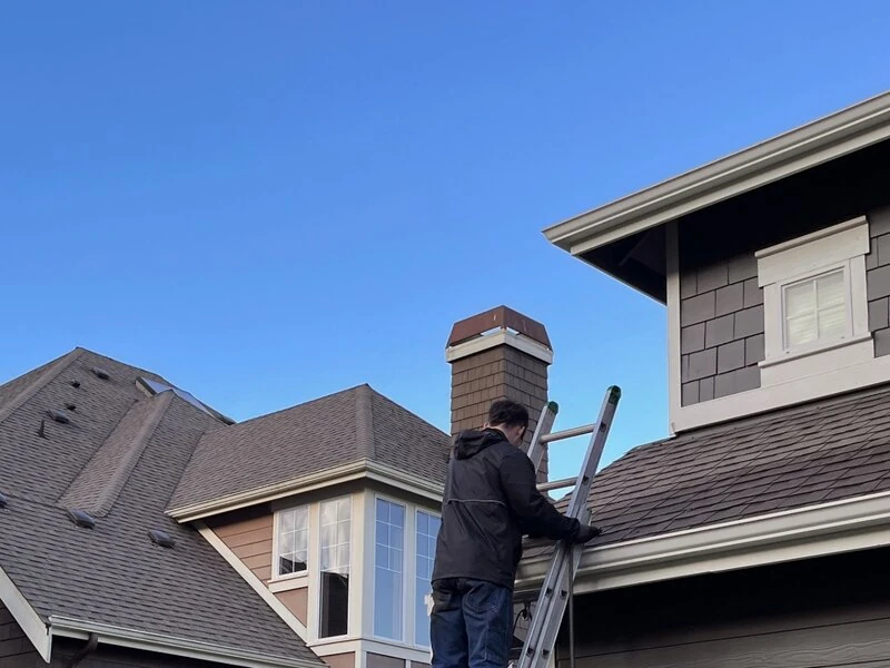 Gutter Cleaning